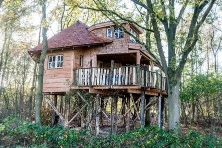 Vier vakantie op een groen vakantiepark in Drenthe
