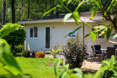 droompark-hooge-veluwe (1).jpg