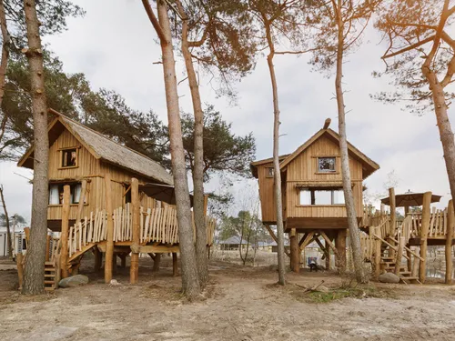 Boomhut vakantie Nederland
