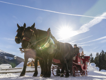 Vakantiepark Landal Katschberg