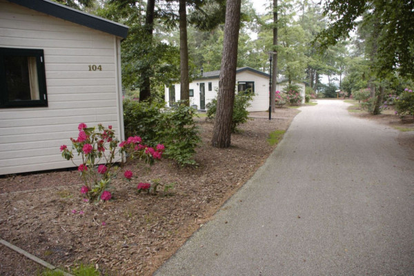 bospark-de-schaapskooi (4).jpg