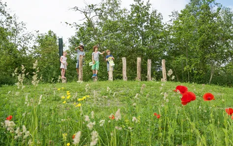 Ontdek de natuur in Groningen
