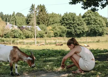 BoerenBed Ô manoir de Glams