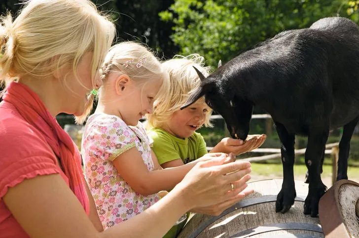 Kinderactiviteiten