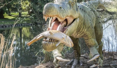 11-/12-daagse autorondreis 'Bente' door Denemarken