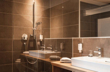 Moderne grijze badkamer met douche en wasbakken