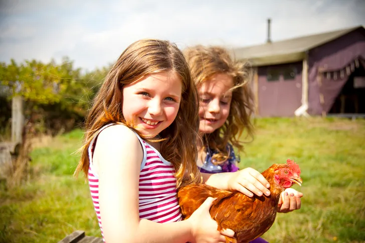 Kinderactiviteiten