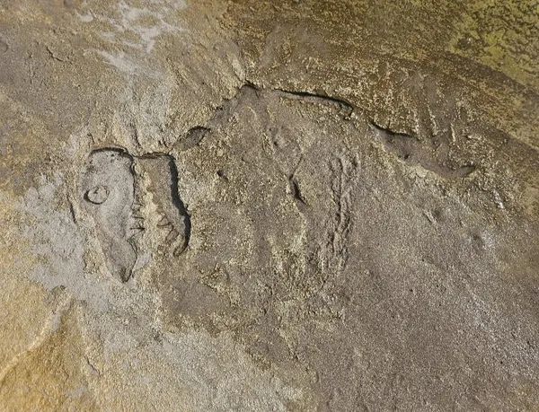 Recreatiepark De Leistert