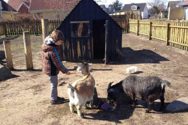 Vakantiepark Øster Hurup