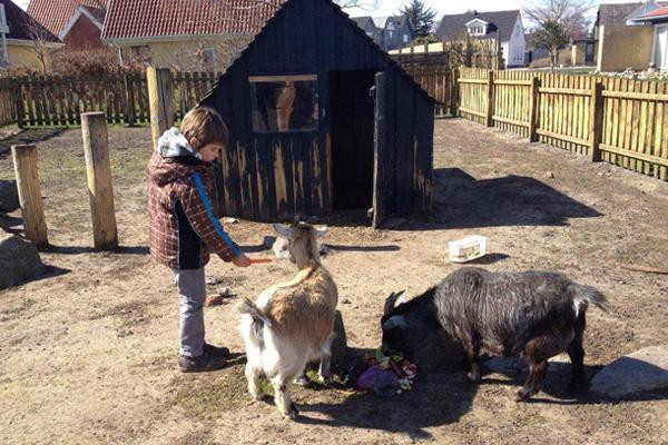 Vakantiepark Øster Hurup