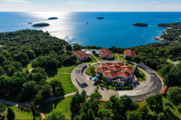 recently watched image