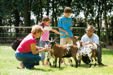 Hoofdafbeelding zomer.jpg