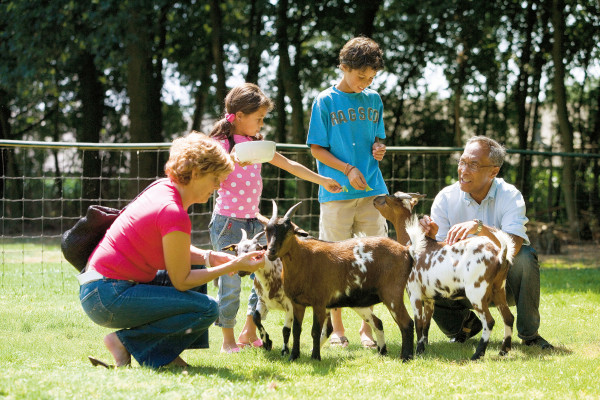 Hoofdafbeelding zomer.jpg