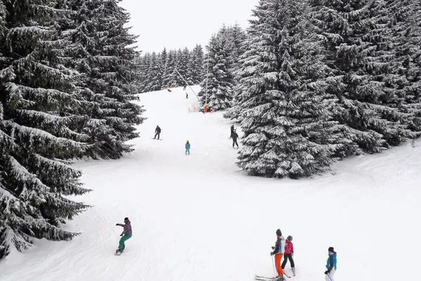 Hotel Winterberg Resort