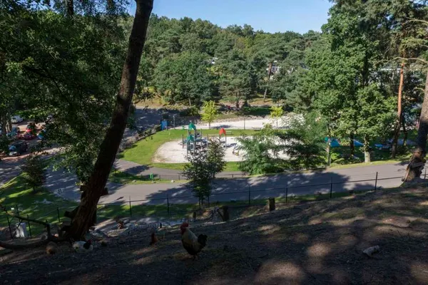 Resort Brunssummerheide