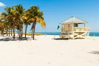 recently watched image