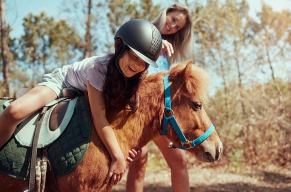 Les Landes de Gascogne