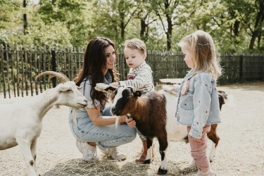 Moeder en kinderen aaien geiten op de kinderboerderij van Vakantiepark Dierenbos