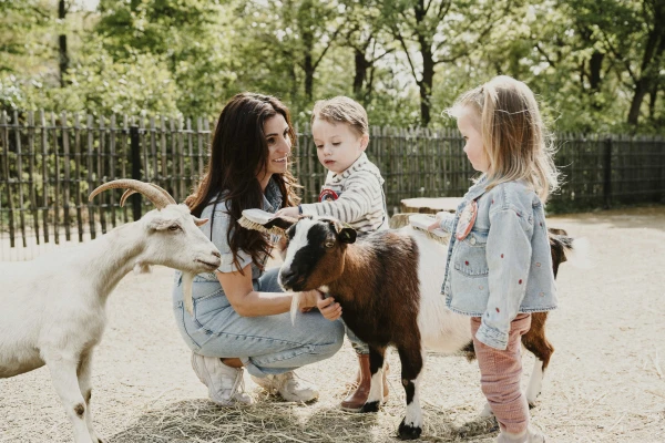 Moeder en kinderen aaien geiten op de kinderboerderij van Vakantiepark Dierenbos
