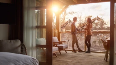 Een stel kijkt vanaf het balkon van hun lodge naar de giraffen tijdens zonsondergang in Safari Hotel Beekse Bergen
