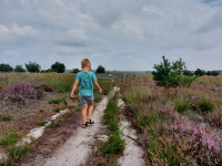 recently watched image