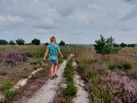 recently watched image