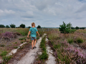 TIP: Hemelvaart of Pinksteren op De Boshoek