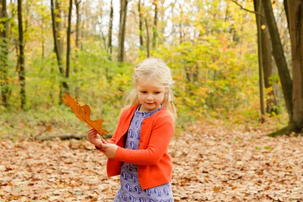 Herfstvakantie aanbiedingen 2026 voor gezinnen