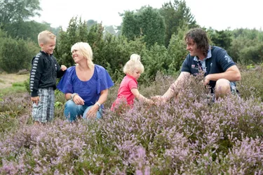 vakantiepark-bospark-de-bikkels (4).jpg