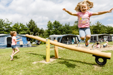 de-flaasbloem (8).jpg