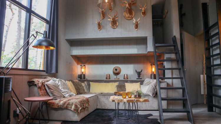 droomzomer-droompark-de-zanding (1).jpg