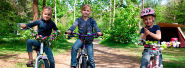 Kindercamping Veluwe