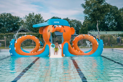Kleurrijk octopus-speeltoestel in het ondiepe zwembad van Resort Kaatsheuvel