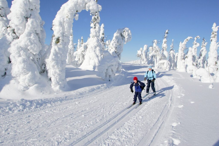 Wintersport in Scandinavië met kinderen