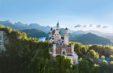 CEPG175639 (Groot).jpg