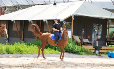 BoerenBed Ecuries de Gapennes