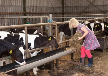 BoerenBed Hoeve Zeeland