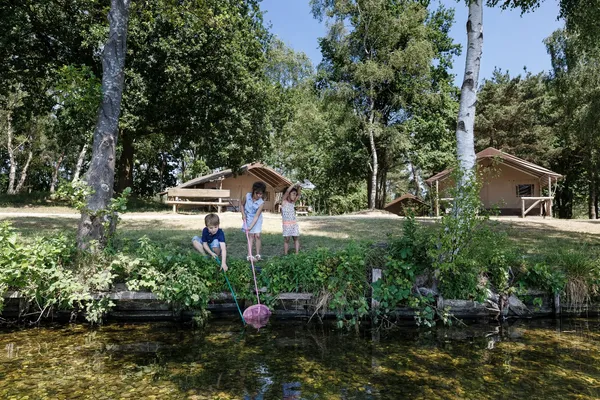 Overnachten bij Beekse Bergen