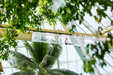 Center Parcs De Vossemeren