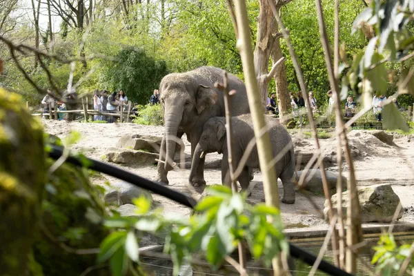 Veelgestelde vragen over een stedentrip in Nederland met kinderen