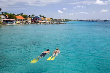 Divi Flamingo Beach Resort