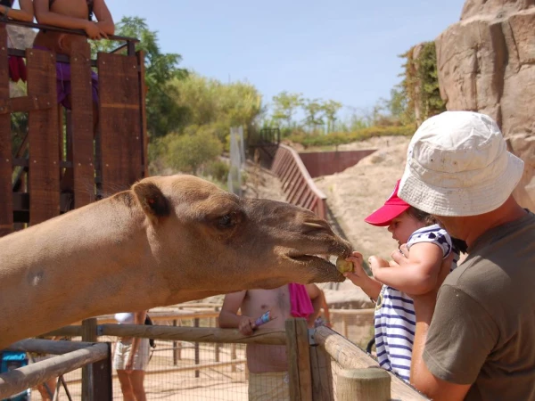 Magic Natura Waterpark Resort