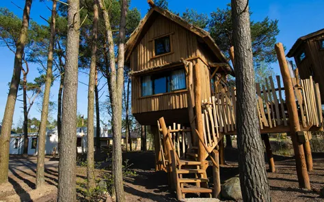 Overnachten in een boomhut op Safari Resort Beekse Bergen