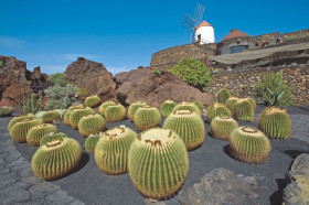 'De zwarte parel' van de Canaries