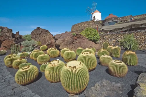 Op vakantie naar Lanzarote met kinderen