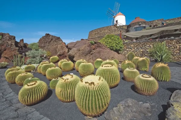 Het weer op Lanzarote