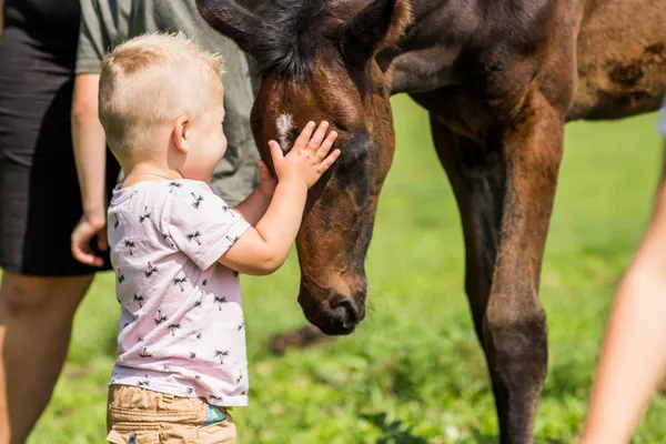 Landgoed de Scheleberg (18).jpg
