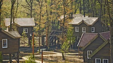 Hoofdafbeelding herfst.jpg