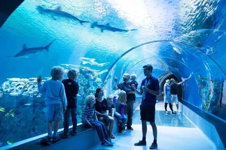 Tivoli aquarium