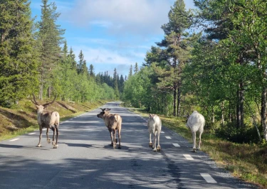 15-daagse rondreis Pekka